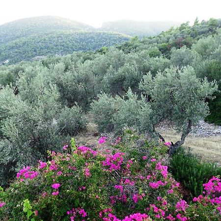 Studio Panorama Kórfos المظهر الخارجي الصورة