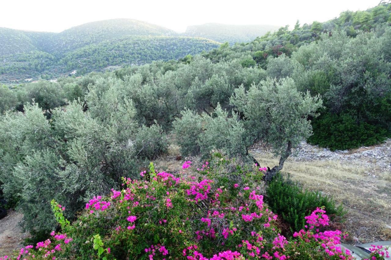 Studio Panorama Kórfos المظهر الخارجي الصورة